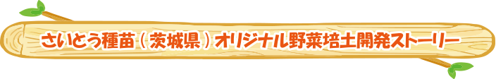 さいとう種苗(茨城県)オリジナル野菜培土開発ストーリー