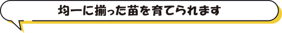 均一に揃った苗を育てられます
